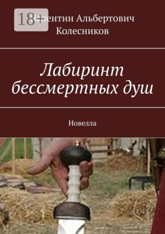 Обложка книги «Лабиринт бессмертных душ. Новелла»