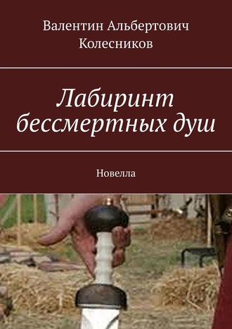 Валентин Альбертович Колесников. Лабиринт бессмертных душ. Новелла