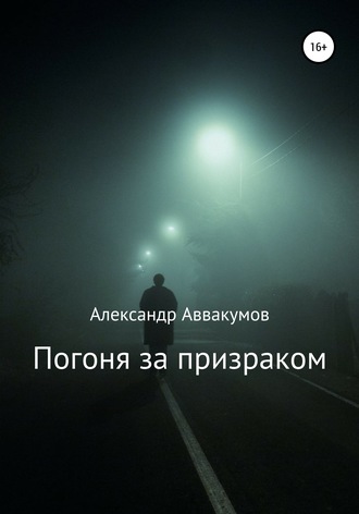 Обложка книги «Погоня за призраком»