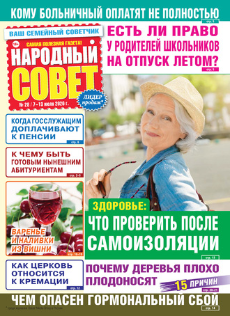 Обложка книги «Народный совет №28/2020»