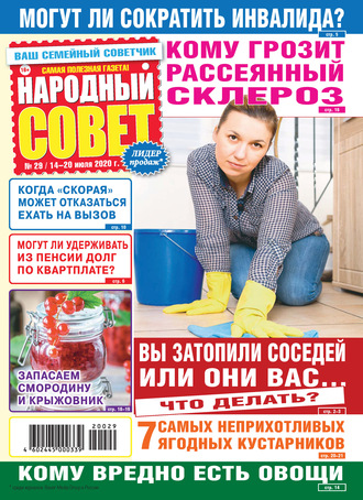 Обложка книги «Народный совет №29/2020»