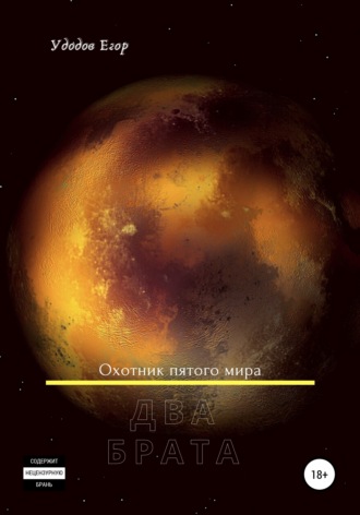 Обложка книги «Два брата»