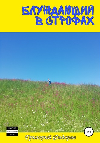 Обложка книги «Блуждающий в строфах»
