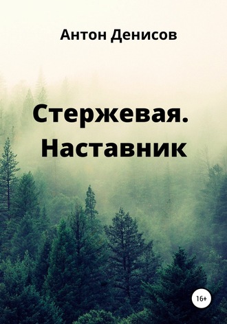 Обложка книги «Стержевая. Наставник»