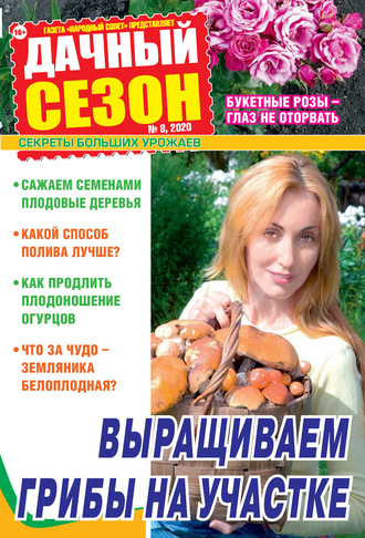 Обложка книги «Дачный сезон №08/2020»