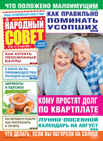 Обложка книги «Народный совет №30/2020»