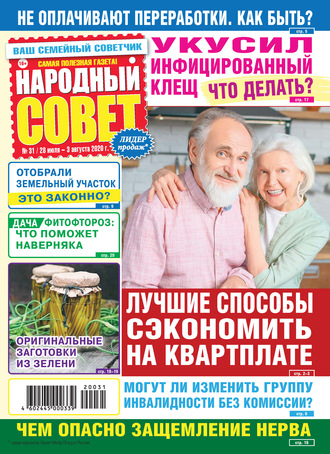 Обложка книги «Народный совет №31/2020»