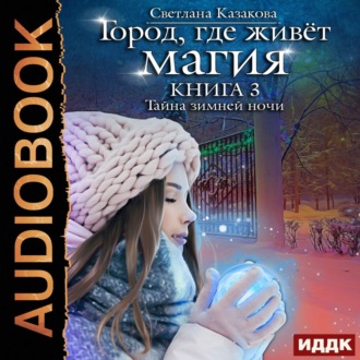 Обложка книги «Тайна зимней ночи»