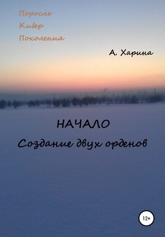 Обложка книги «ПКП. Начало. Создание двух орденов»