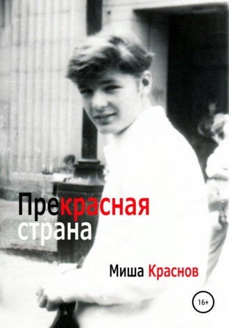Обложка книги «Прекрасная страна»