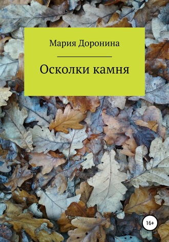 Обложка книги «Осколки камня»
