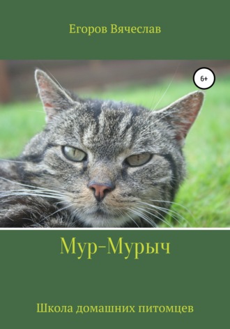 Обложка книги «Мур-Мурыч. Школа домашних питомцев»