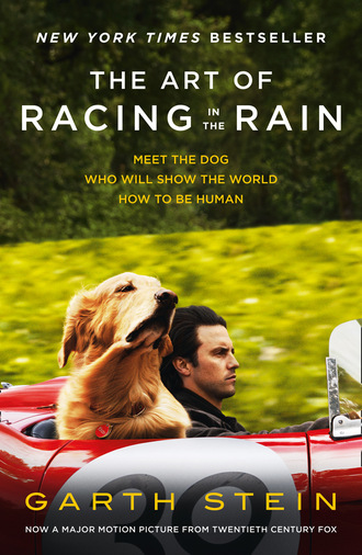 Garth  Stein. The Art of Racing in the Rain