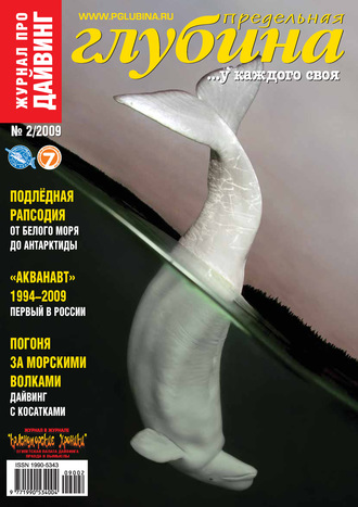 Обложка книги «Предельная Глубина №2/2009»