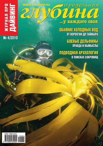 Обложка книги «Предельная Глубина №4/2010»