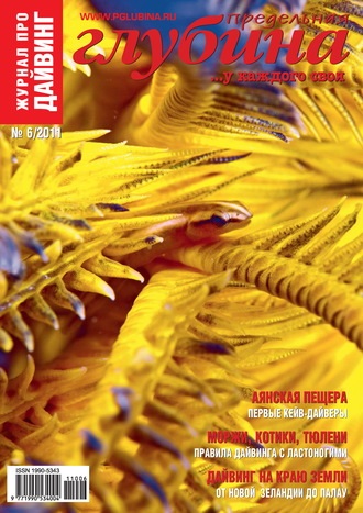 Обложка книги «Предельная Глубина №6/2011»