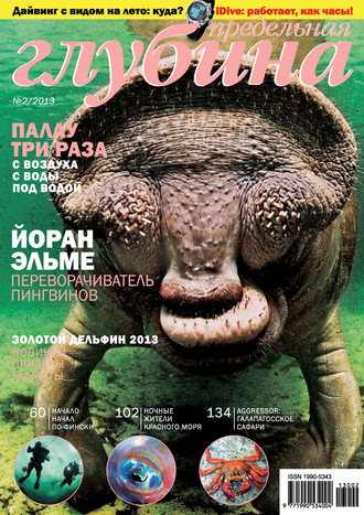 Обложка книги «Предельная Глубина №2/2013»