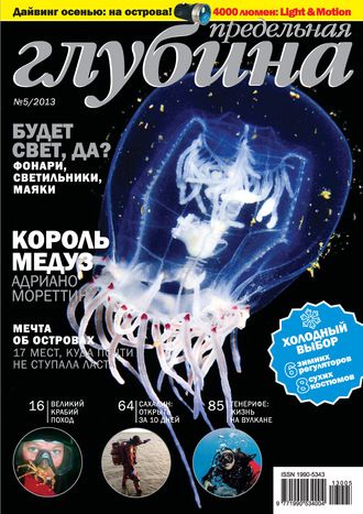 Обложка книги «Предельная Глубина №5/2013»