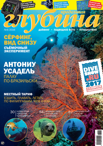 Обложка книги «Предельная Глубина №4/2016»