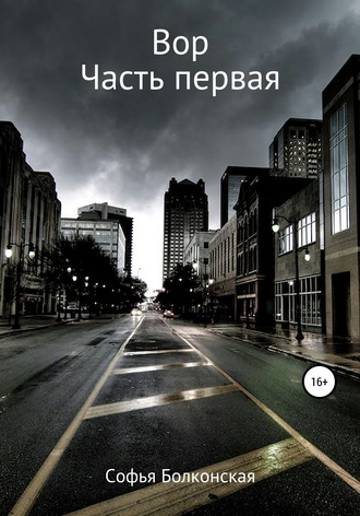 Обложка книги «Вор. Часть первая»