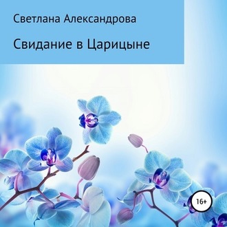 Обложка книги «Свидание в Царицыне»