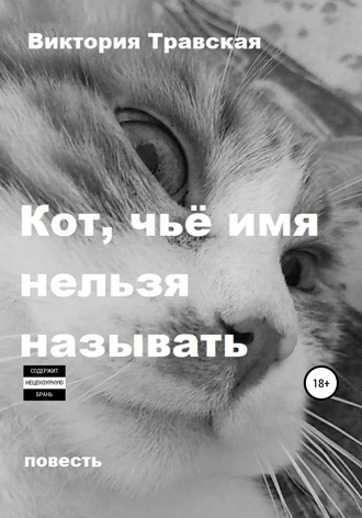 Обложка книги «Кот, чьё имя нельзя называть»