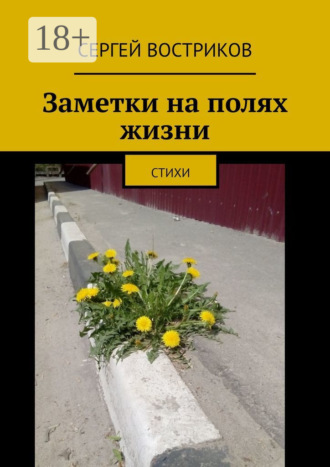 Обложка книги «Заметки на полях жизни. Стихи»