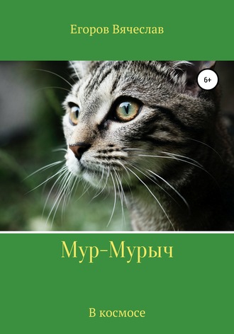 Обложка книги «Мур-Мурыч. В космосе»