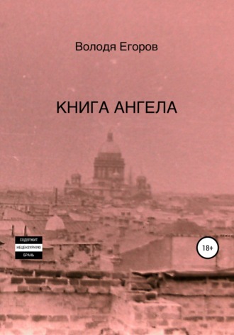 Володя Егоров. Книга Ангела