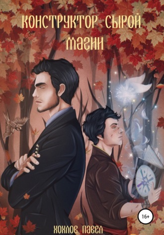 Обложка книги «Конструктор сырой магии»