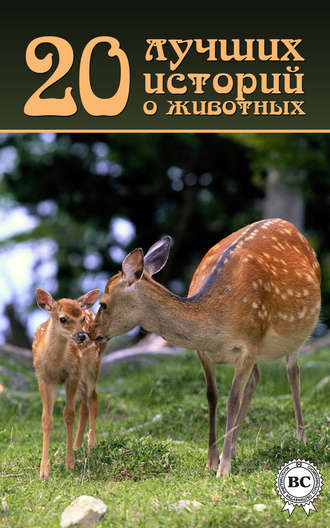 Обложка книги «20 лучших историй о животных»