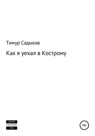 Тимур Садыков. Как я уехал в Кострому