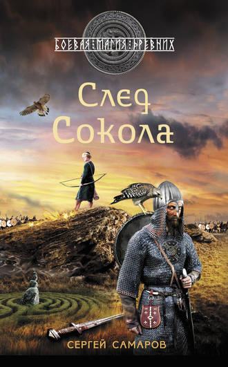Обложка книги «След Сокола»