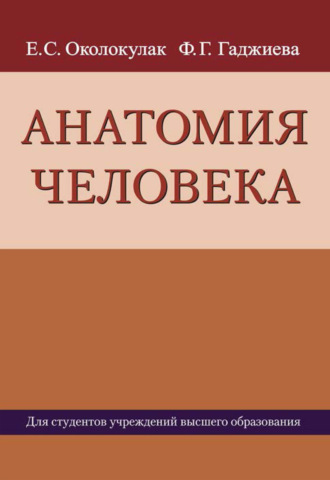 Обложка книги «Анатомия человека»