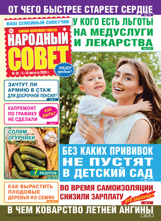 Обложка книги «Народный совет №32/2020»