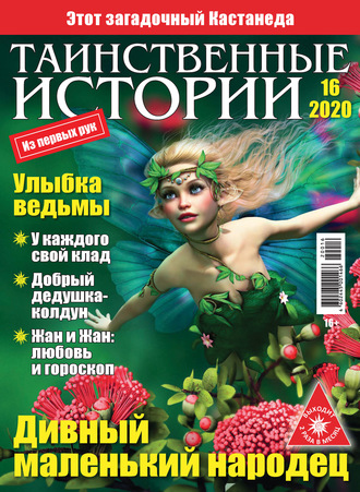 Обложка книги «Таинственные истории №16/2020»