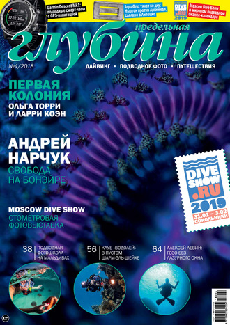 Обложка книги «Предельная Глубина №4/2018»