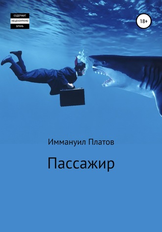 Обложка книги «Пассажир»