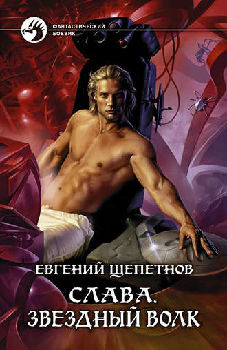 Обложка книги «Слава. Звёздный волк»