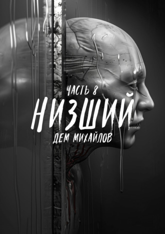 Обложка книги «Низший 8»
