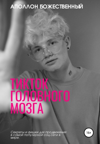 Обложка книги «TikTok головного мозга. Секреты и фишки для продвижения и заработка в самой популярной социальной сети»