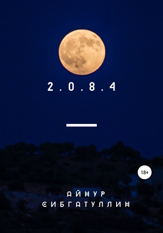 Обложка книги «2.0.8.4»