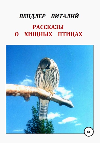 Обложка книги «Рассказы о хищных птицах»