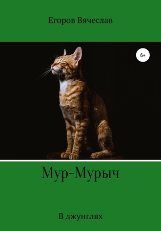 Обложка книги «Мур-Мурыч. В джунглях»