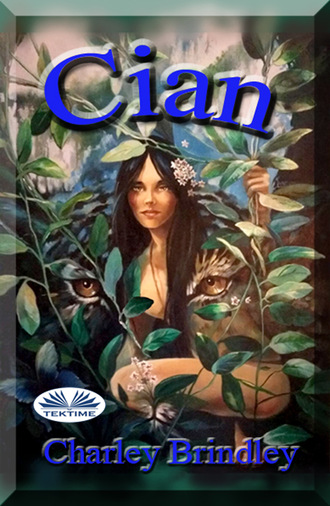Обложка книги «Cian»