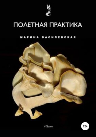 Обложка книги «Полетная практика»
