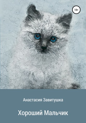 Обложка книги «Хороший мальчик»