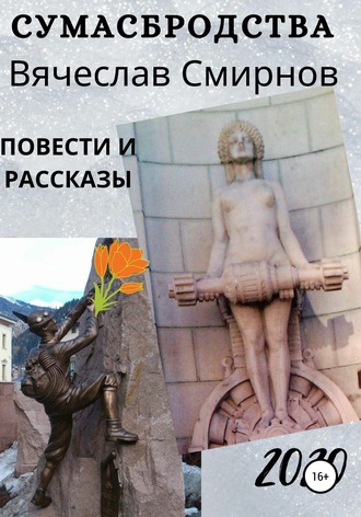 Обложка книги «Сумасбродства»