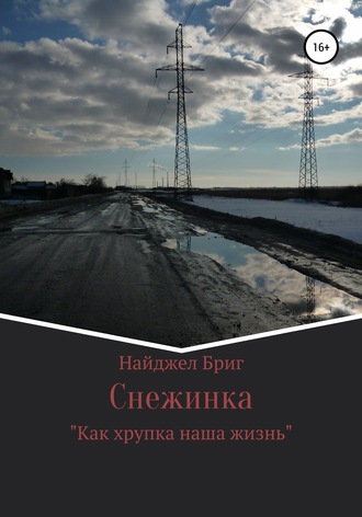 Обложка книги «Снежинка»