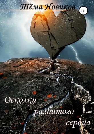 Обложка книги «Осколки разбитого сердца»